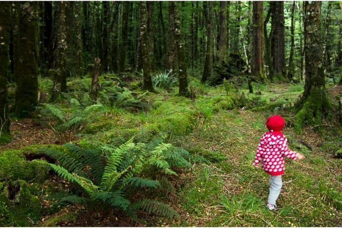 Menina perdida na floresta