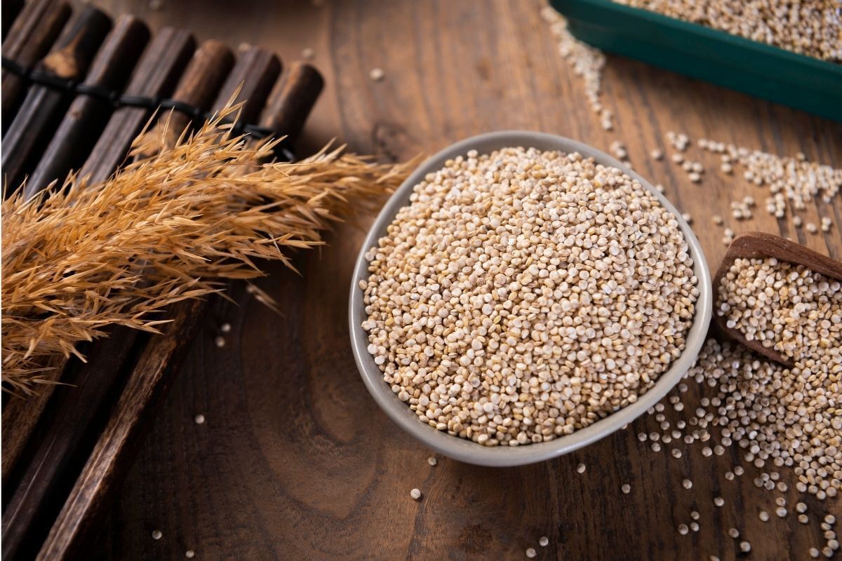 Grãos de quinoa em tigela.