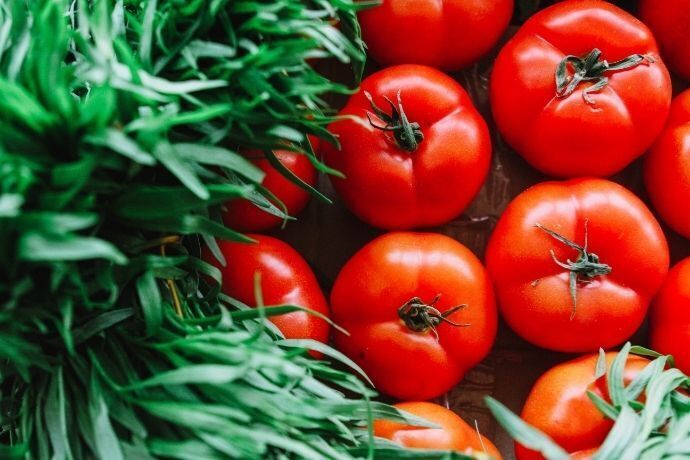 Tomates ao lado de folhas