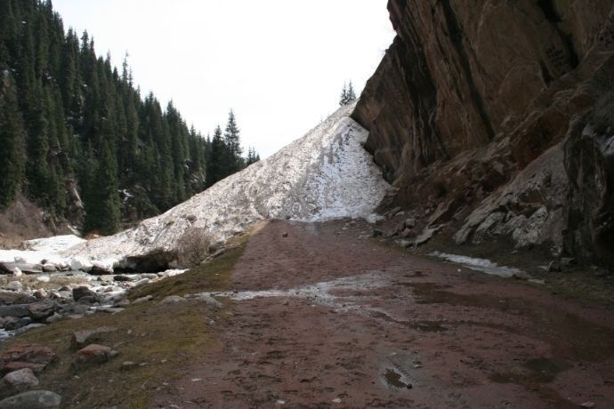 Avalanche de neve e terra