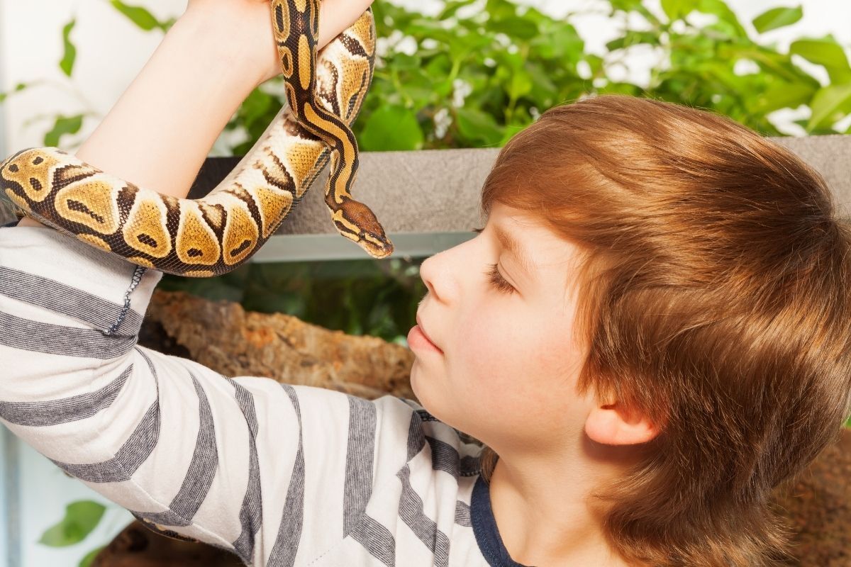 Menino com cobra de estimação.