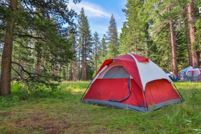 Barraca de camping no meio da floresta