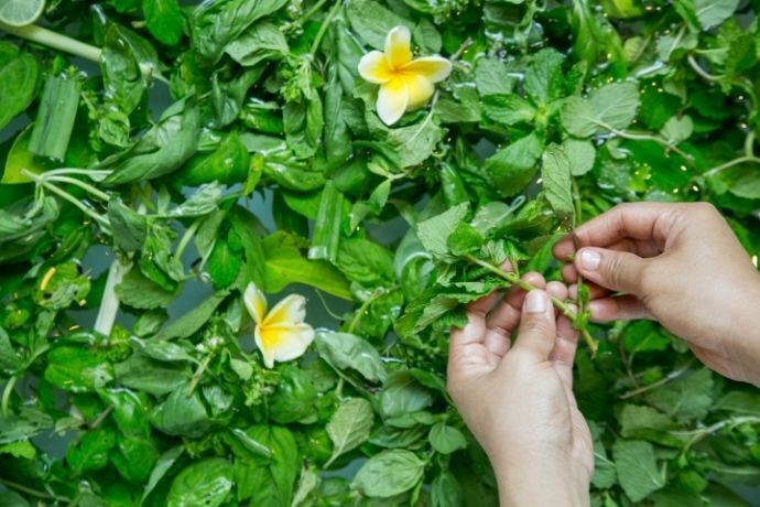 Mãos colocando folhas e flores em banheira