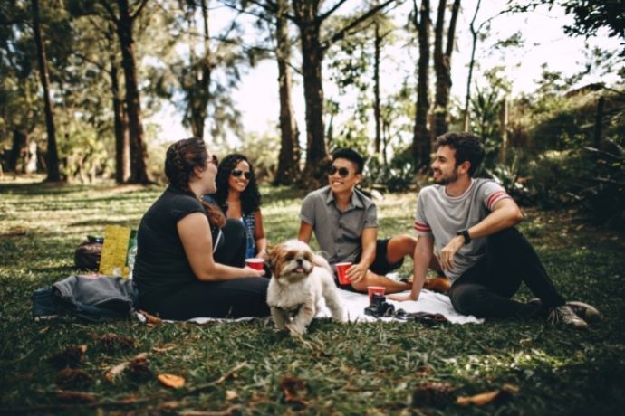 Amigos fazendo piquenique em área verde