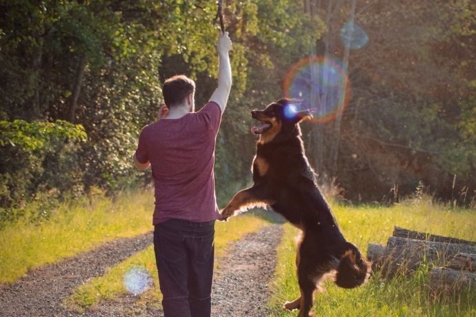 Homem brincando com cachorro em área arborizada 