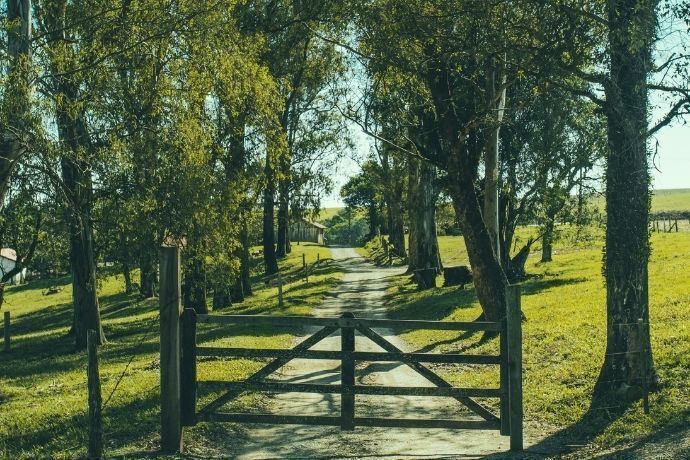 Porteira de madeira e caminho entre árvores