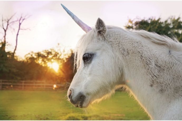 Cavalo com chifre de unicórnio