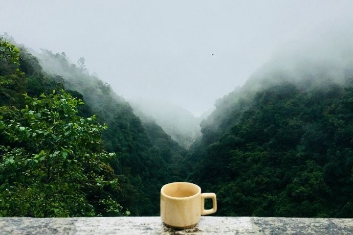 Xícara em frente a paisagem 