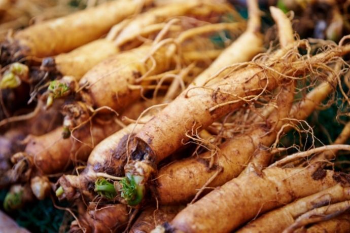 Várias raízes de Ginseng umas sobre as outras