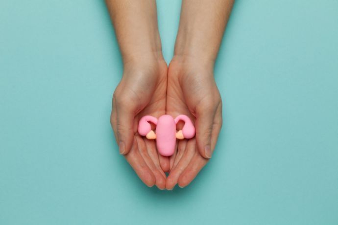 Mãos femininas segurando pequeno útero 