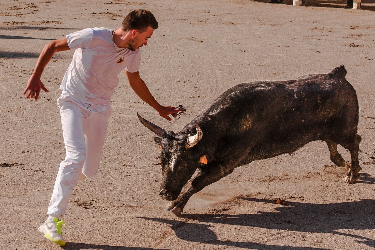 Touro atacando homem de branco em meio à corrida.