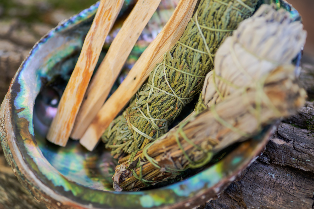 Ervas para rituais do xamanismo