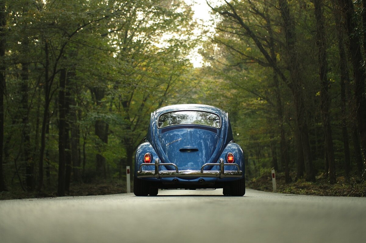 Imagem de traseira de fusca azul enquanto passeia por estrada coberta por árvores.