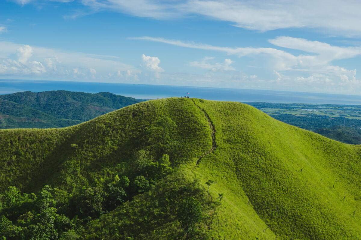 Morro de grama verde