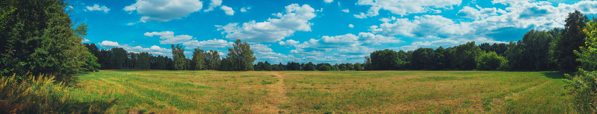 Campo verde; lugar com que se sonhou várias vezes