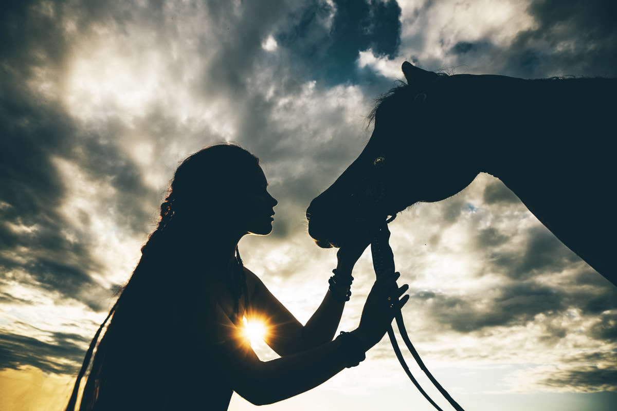 Sombra de uma mulher acariciando focinho de cavalo, seu animal de poder.