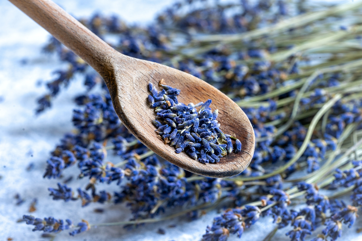 Lavanda; uma das ervas de Oxum