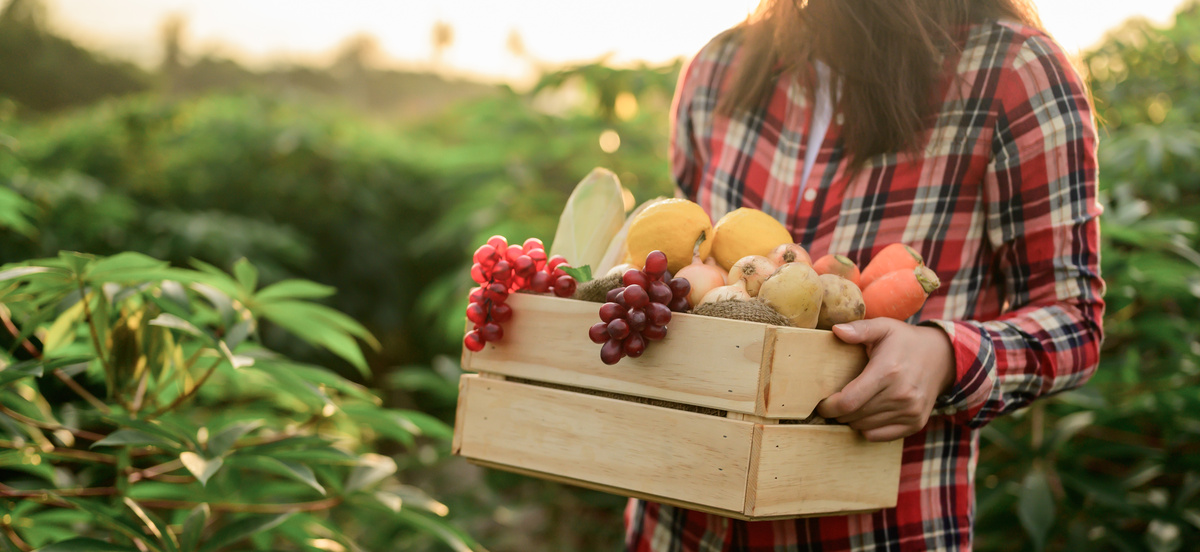 Mulher carregando caixa de frutas