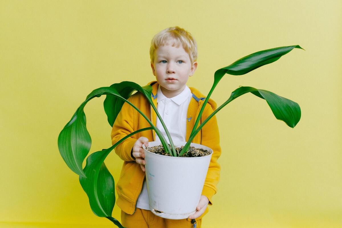 Menino com vaso de planta na mão