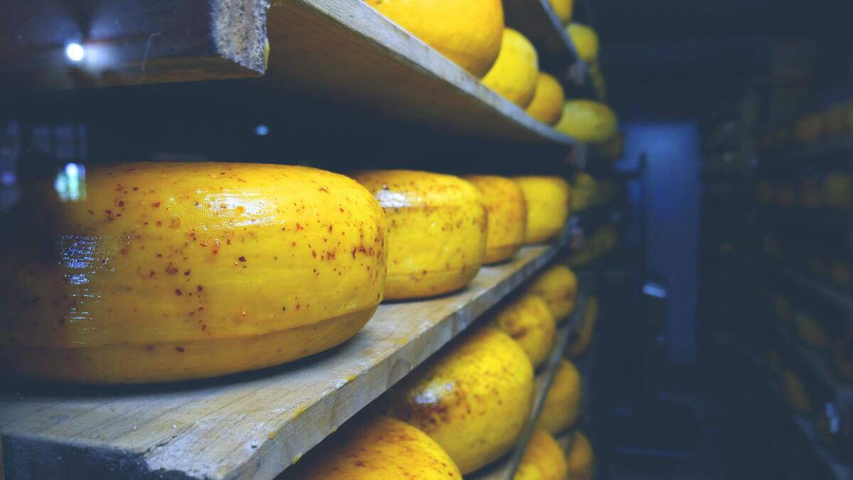 Pedaços de queijo em prateleiras.