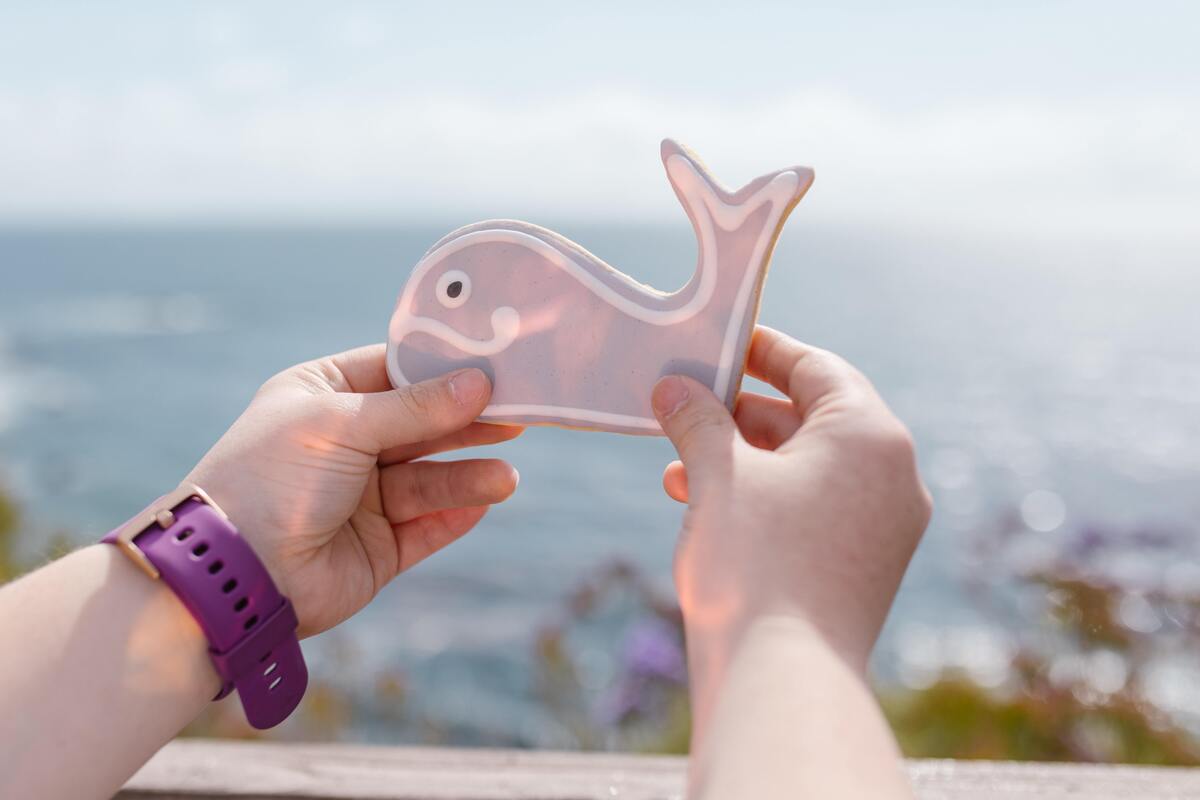 Menina segurando baleia de brinquedo em frente ao mar