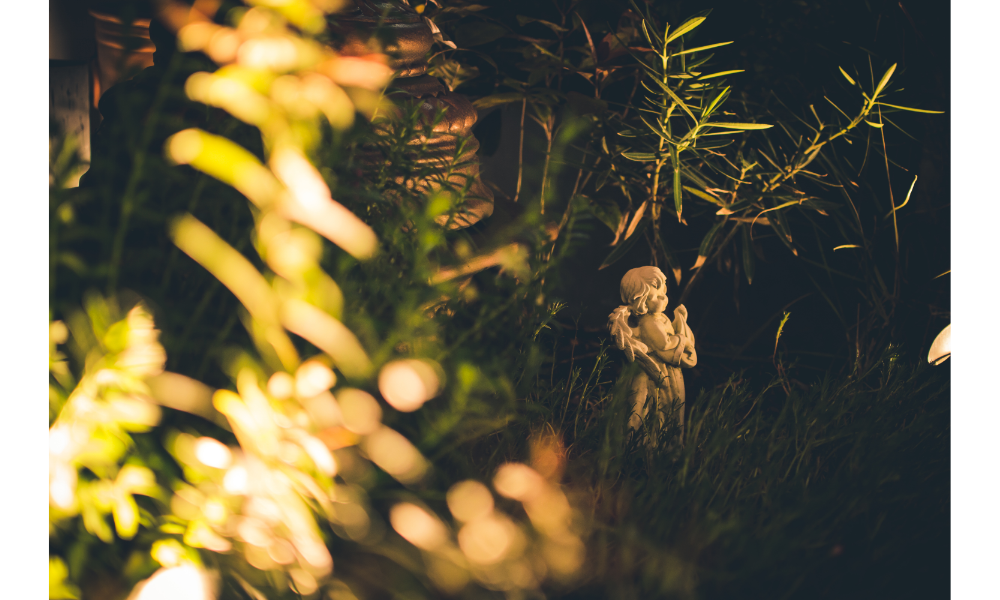 Ambiente natural com folhas e uma estátua de anjo ao fundo.