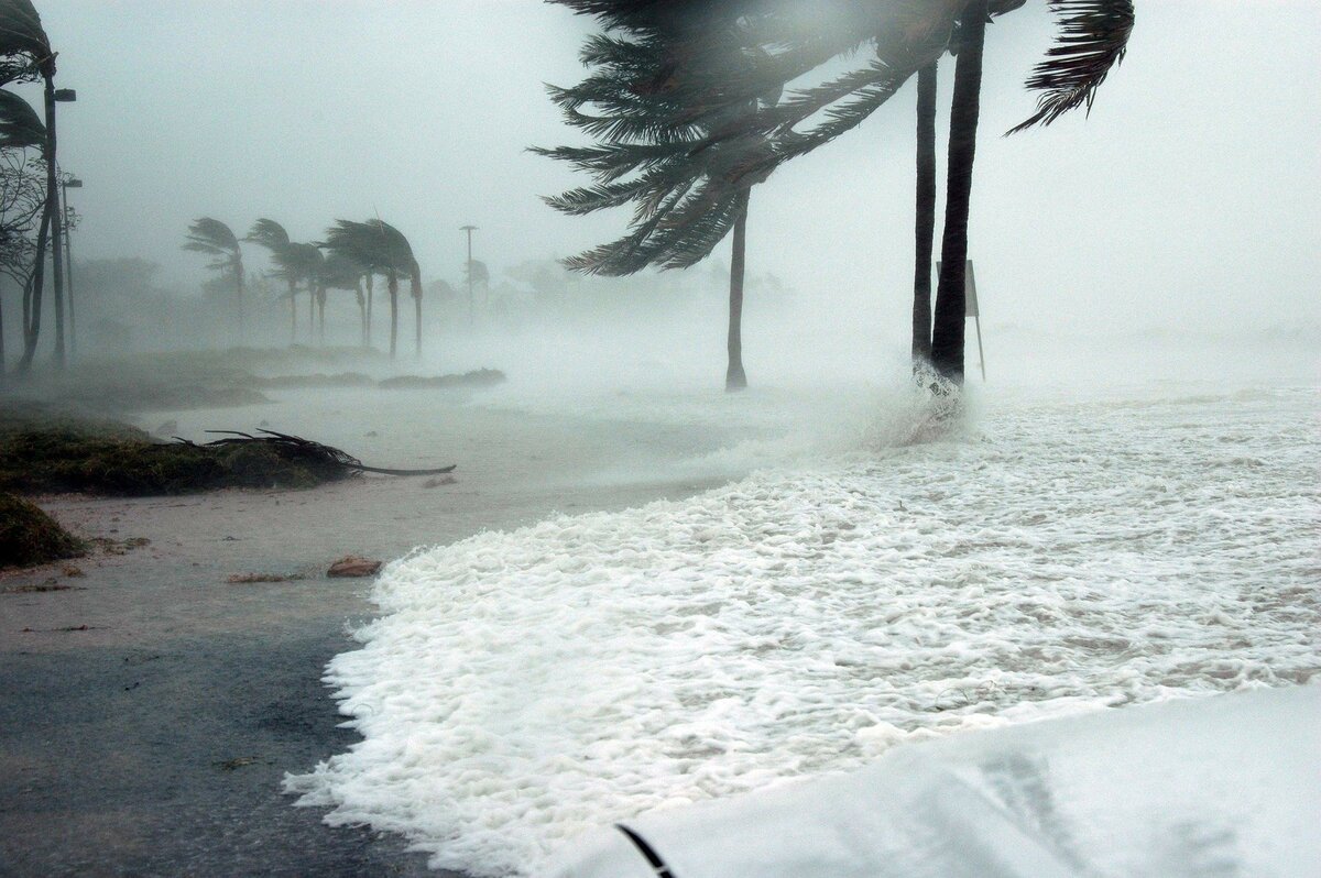 Vento forte em praia