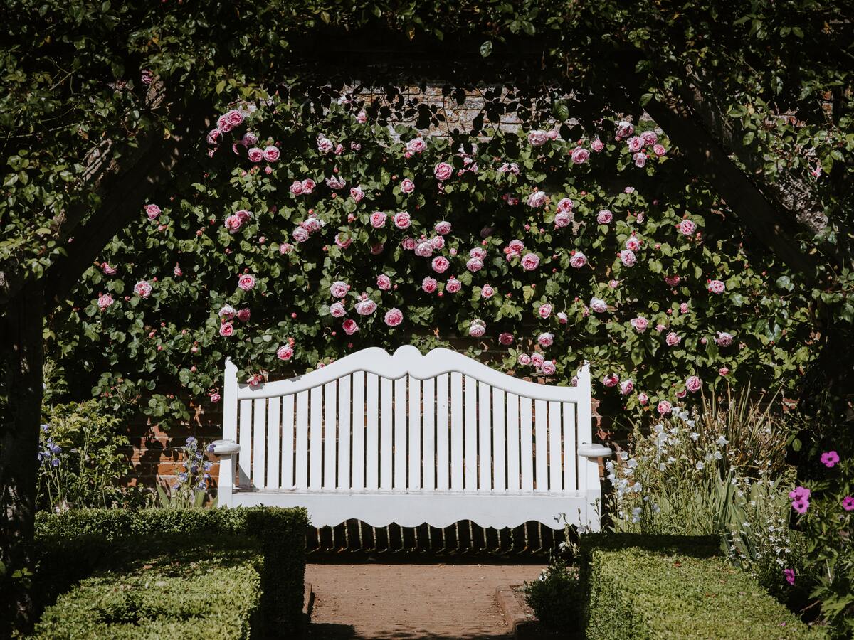 Banco dentro de um jardim.