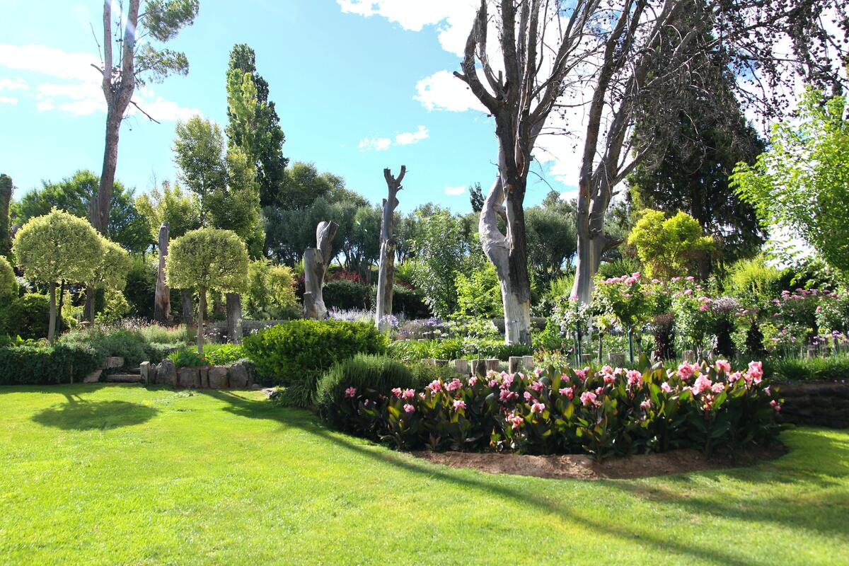 Jardim gramado com flores.