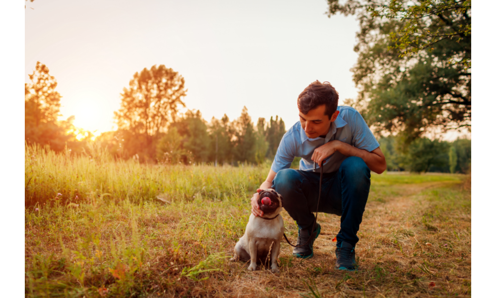 Homem brincando um um pug ao seu lado, natureza ao fundo.