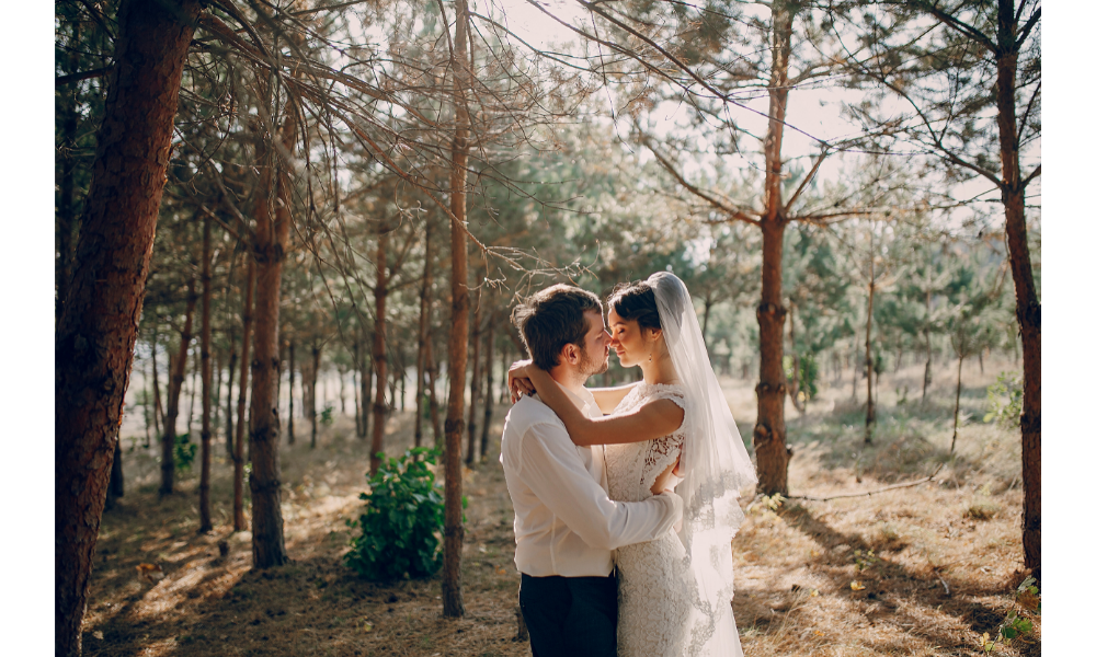 Recém-casados se beijando em meio às árvores.