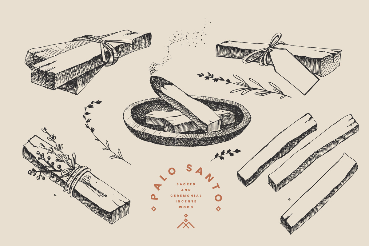 Ilustração de Palo Santo