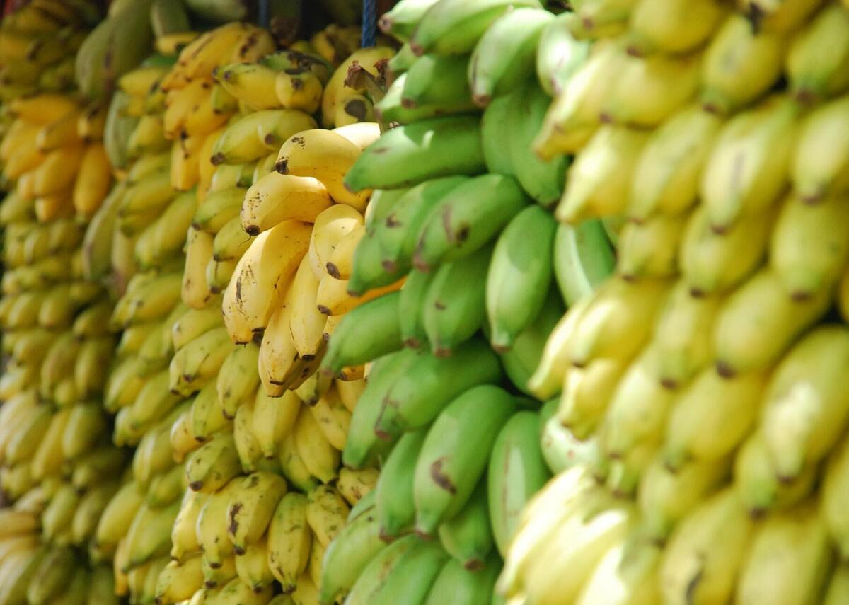 Cachos de banana. 