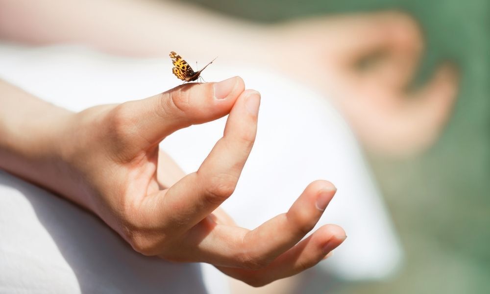 mãos em posição de meditação