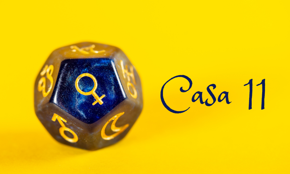 Casa 11