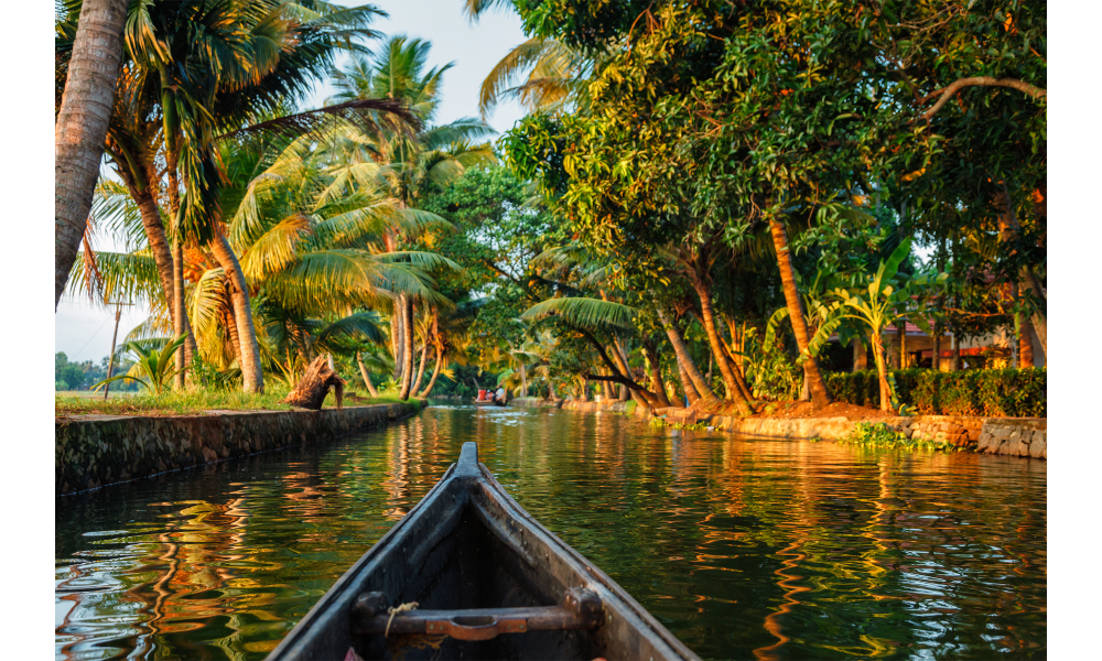 Canoa em um rio, vegetação ao redor.