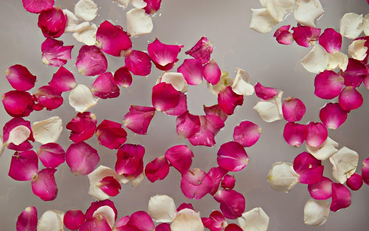 Pétalas de rosa cor-de-rosa e branca em banheira.