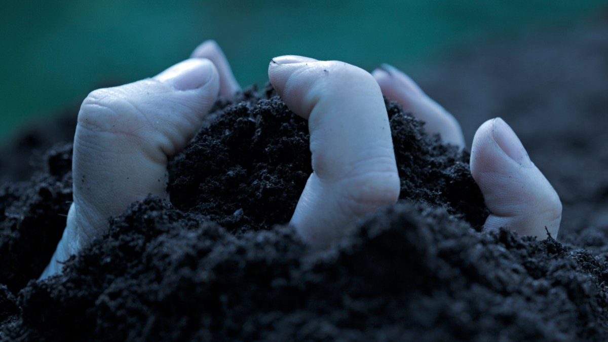 Mãos saindo da terra. 