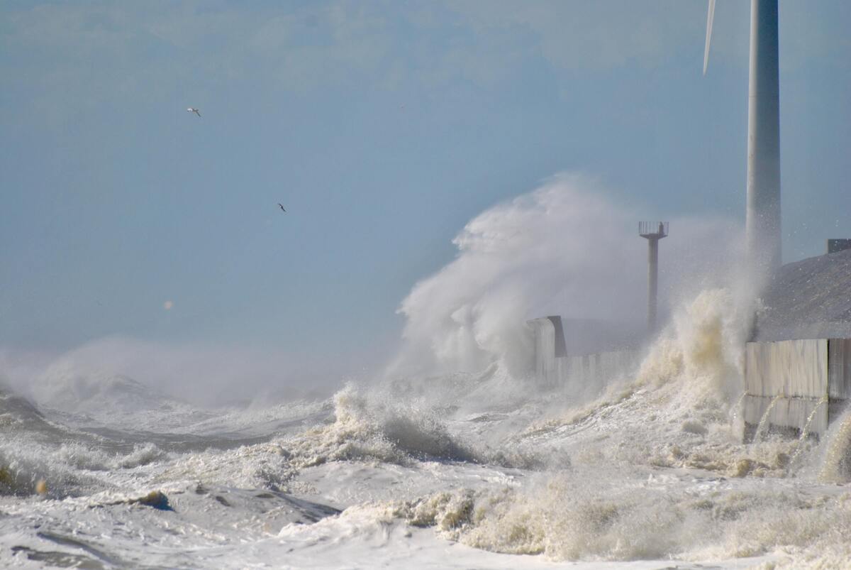 Tsunami destruindo casas.